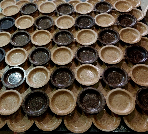 Biodegradable Tableware Making Machine